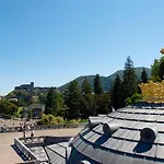 Hotel Des Rosiers Lourdes