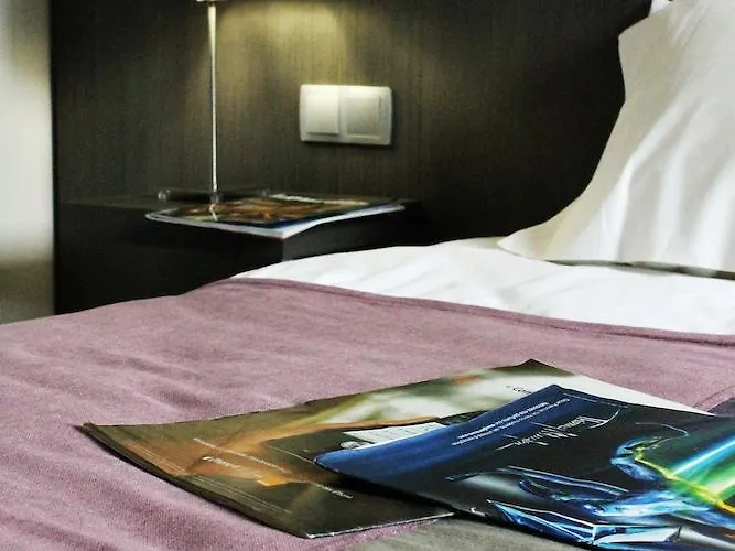 Des Rosiers 3* Lourdes