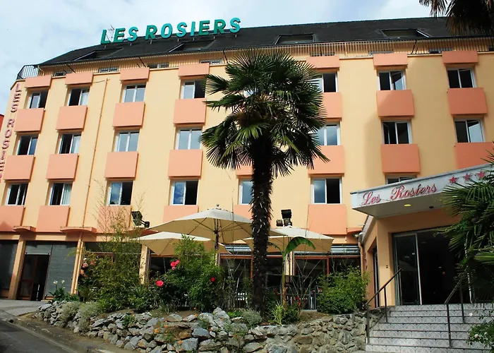 Hotel Des Rosiers Lourdes