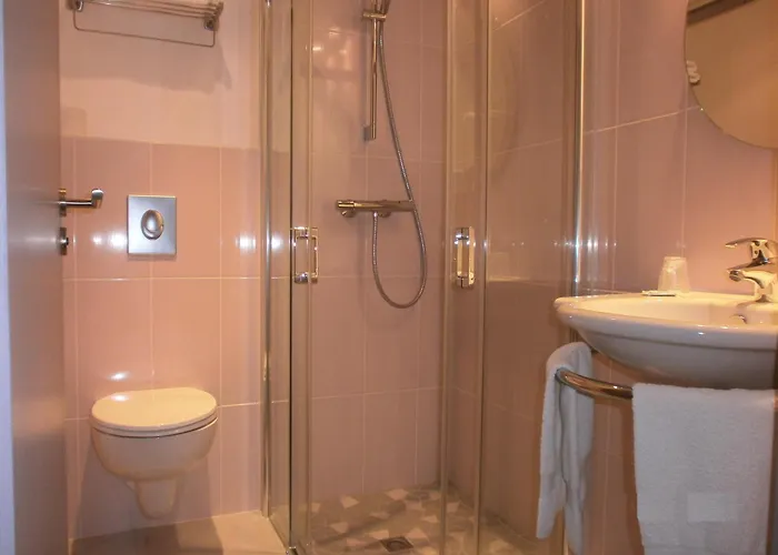 Hotel Des Rosiers Lourdes